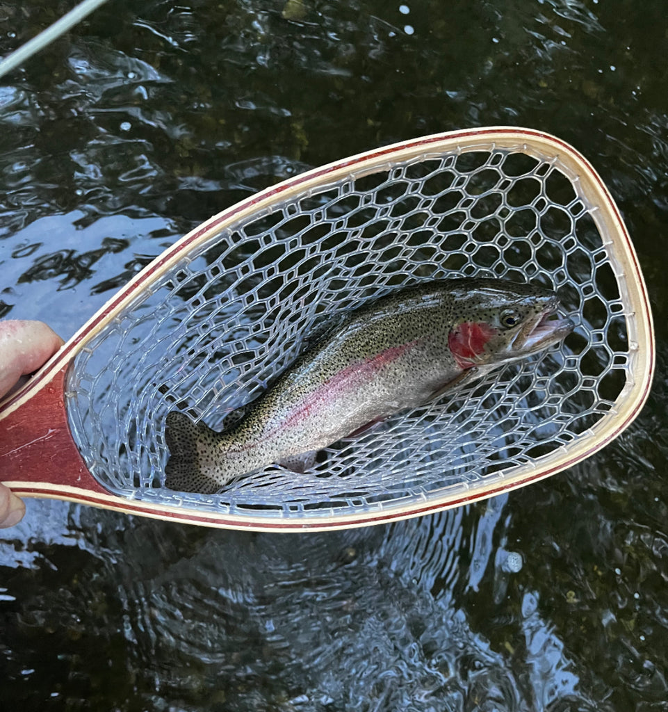 Croton Watershed River Report - September 2022