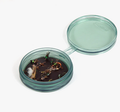SHALLOW MAGPAD FLY PUCK