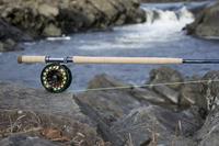 THOMAS & THOMAS DNA SPEY