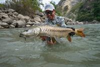 THOMAS & THOMAS EXOCETT SS