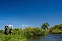 THOMAS & THOMAS LOTIC