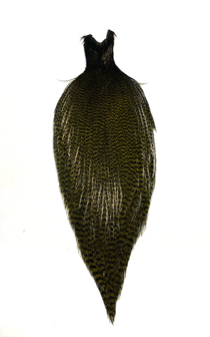 Ewing Grizzly Whole Cape Olive