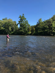 Housatonic River Walk/Wade Guided Fly Fishing Trip