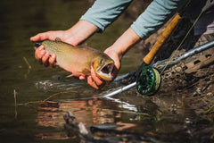 CHEEKY LAUNCH 325 FLY REEL
