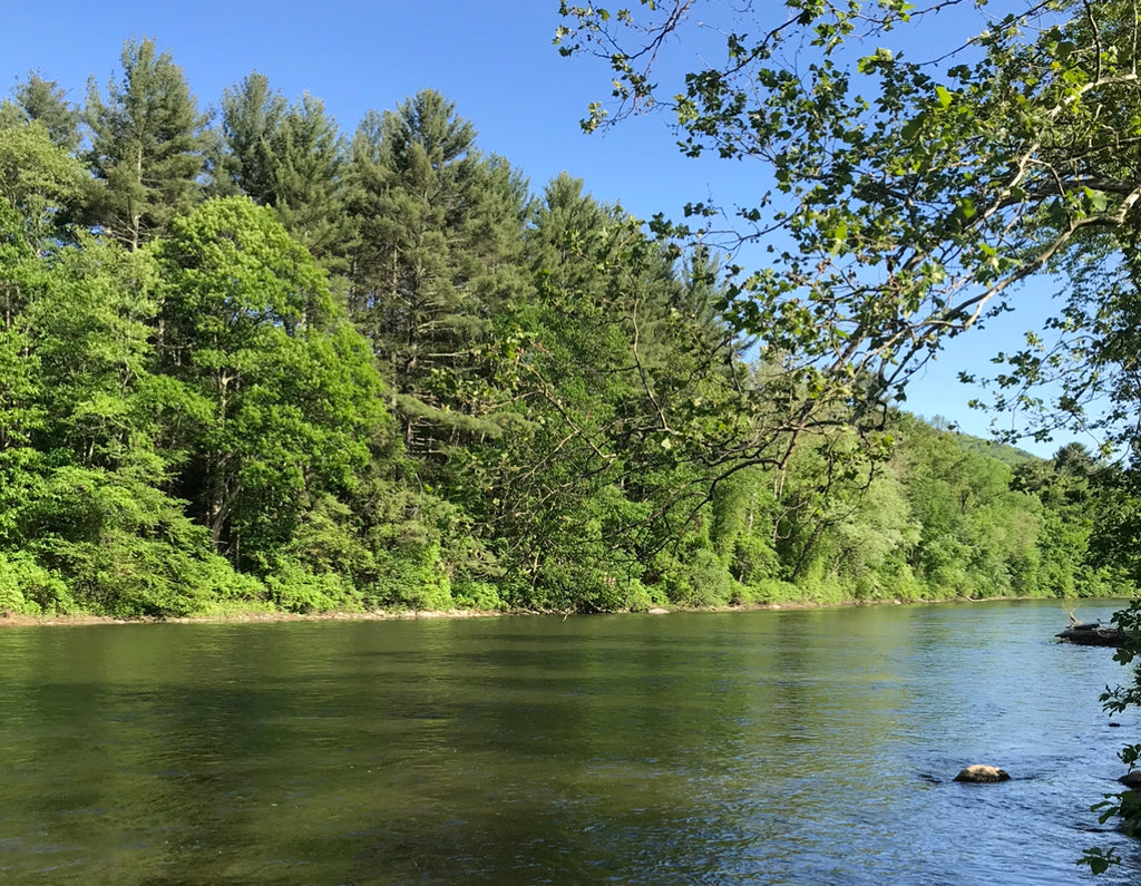Housatonic River Fishing Report (Litchfield Co. CT)