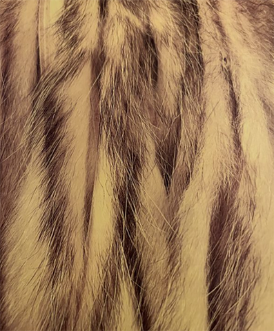 WAPSI AWESOME 'POSSUM ZONKERS - 1/2 SKIN TANNED