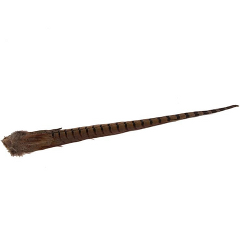 WAPSI RINGNECK PHEASANT TAIL, CENTER TAIL CLUMP - NATURAL