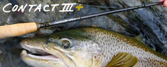 THOMAS AND THOMAS CONTACT III+ TECHNICAL NYMPHING FLY ROD