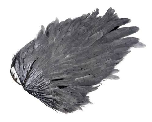 WAPSI HEN SADDLE PATCHES