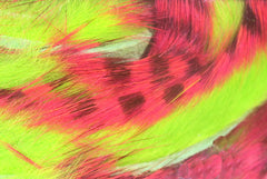HARELINE TIGER BARRED MAGNUM RABBIT STRIPS