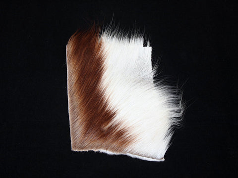 springbok-fur-fly-tying