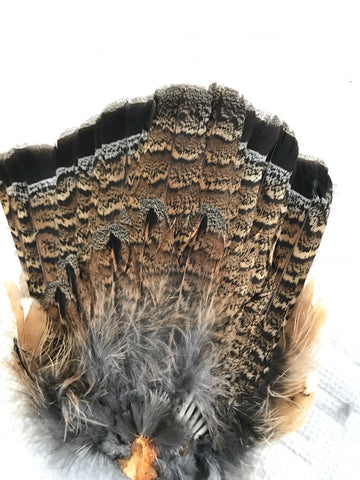 Ruffed Grouse Fan Tail (Red Phase)